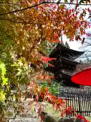 新海三社神社(長野県)