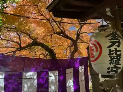 大綱金刀比羅神社(神奈川県)