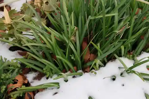 高司神社〜むすびの神の鎮まる社〜の自然