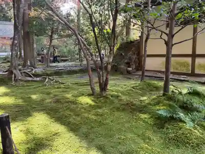 法然院(京都府)