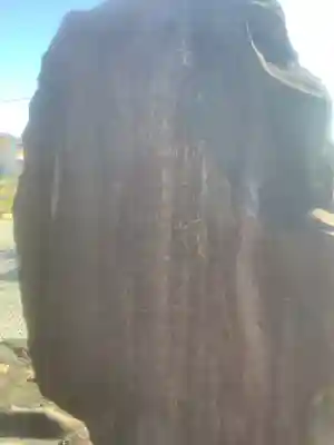 龍光院(愛知県)