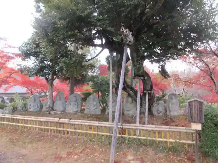 大覚寺(京都府)