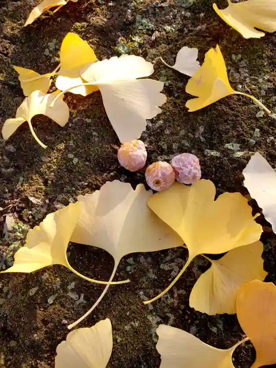 仙寿院(東京都)