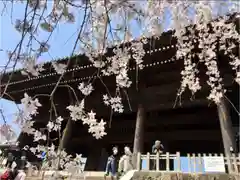 東郷寺の山門