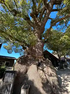 糸碕神社(広島県)