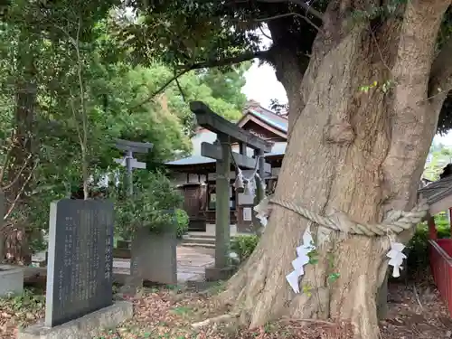 生實神社の鳥居