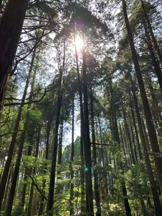 霧島神宮の{uncategorized: "未分類", other: "その他", undefined: "問題あり", building: "その他建物", grave: "お墓", sacred_gate: "鳥居", guardian: "狛犬", statue: "像", buddha: "仏像", history: "歴史", nature: "自然", garden: "庭園", animal: "動物", pagoda: "塔", temizu: "手水舎", mountain_gate: "山門・神門", sanctuary: "本殿・本堂", subordinate: "末社・摂社", art: "芸術", scenery: "景色", jizo: "地蔵", ema: "絵馬", goshuin: "御朱印", omikuji: "おみくじ", items: "授与品その他", amulet: "お守り", goshuincho: "御朱印帳", eats: "食事", festival: "お祭り", votive_dance: "神楽", shichigosan: "七五三参", wedding: "結婚式", experience: "体験その他", initially: "初詣", around: "周辺", anti_infection: "感染症対策"}