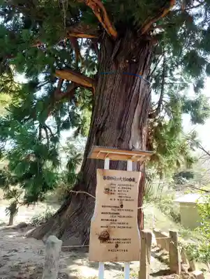 春日神社(福島県)