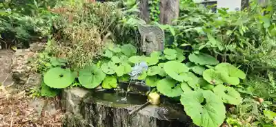 善光寺の手水舎