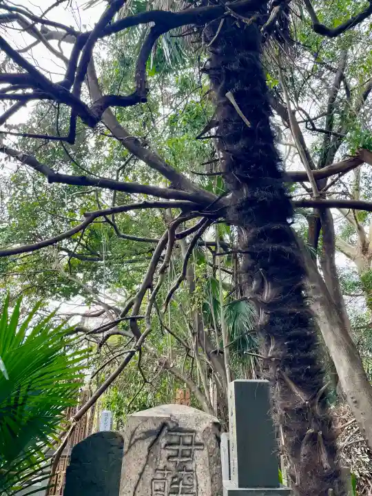 普門院の{uncategorized: "未分類", other: "その他", undefined: "問題あり", building: "その他建物", grave: "お墓", sacred_gate: "鳥居", guardian: "狛犬", statue: "像", buddha: "仏像", history: "歴史", nature: "自然", garden: "庭園", animal: "動物", pagoda: "塔", temizu: "手水舎", mountain_gate: "山門・神門", sanctuary: "本殿・本堂", subordinate: "末社・摂社", art: "芸術", scenery: "景色", jizo: "地蔵", ema: "絵馬", goshuin: "御朱印", omikuji: "おみくじ", items: "授与品その他", amulet: "お守り", goshuincho: "御朱印帳", eats: "食事", festival: "お祭り", votive_dance: "神楽", shichigosan: "七五三参", wedding: "結婚式", experience: "体験その他", initially: "初詣", around: "周辺", anti_infection: "感染症対策"}