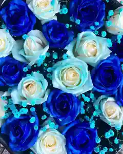 瑞玄寺の手水舎(2022年02月07日(月) 10時11分34秒投稿)