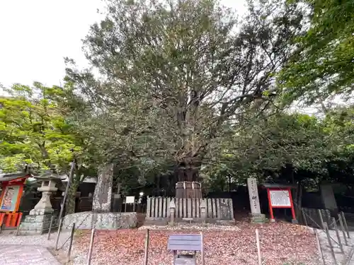 熊野速玉大社のその他建物