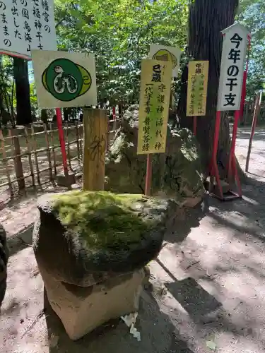 渋川八幡宮(群馬県)