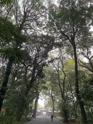 明治神宮(東京都)
