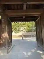 慈照寺(慈照禅寺・銀閣寺)(京都府)