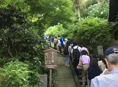 長谷寺(神奈川県)