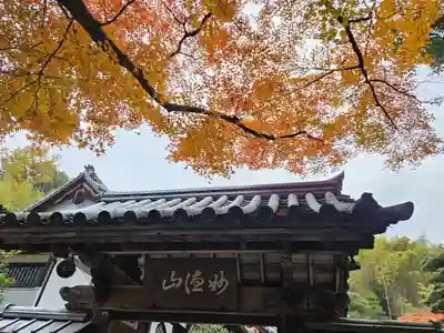 華厳寺（鈴虫寺）(京都府)