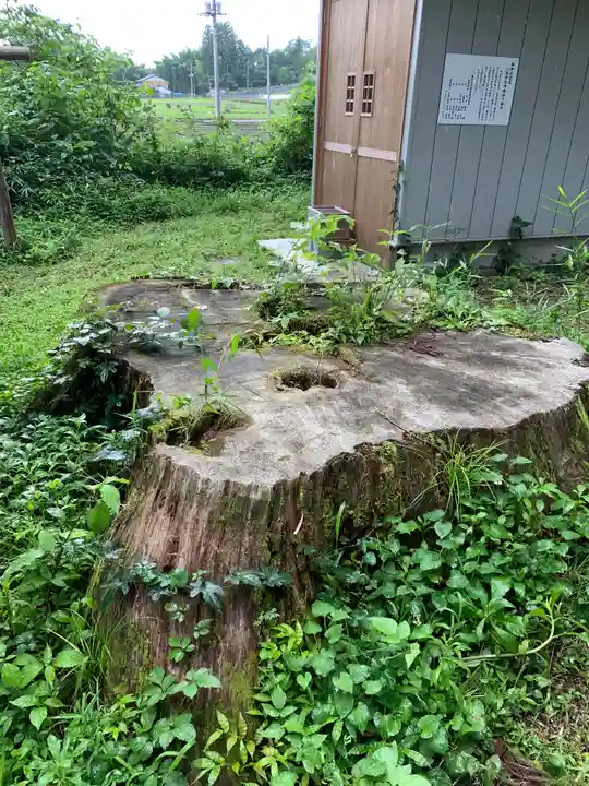 熊野神社の自然