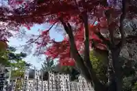 開成山大神宮の自然