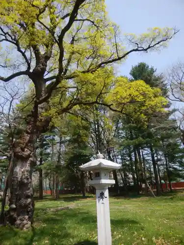 帯廣神社のその他建物