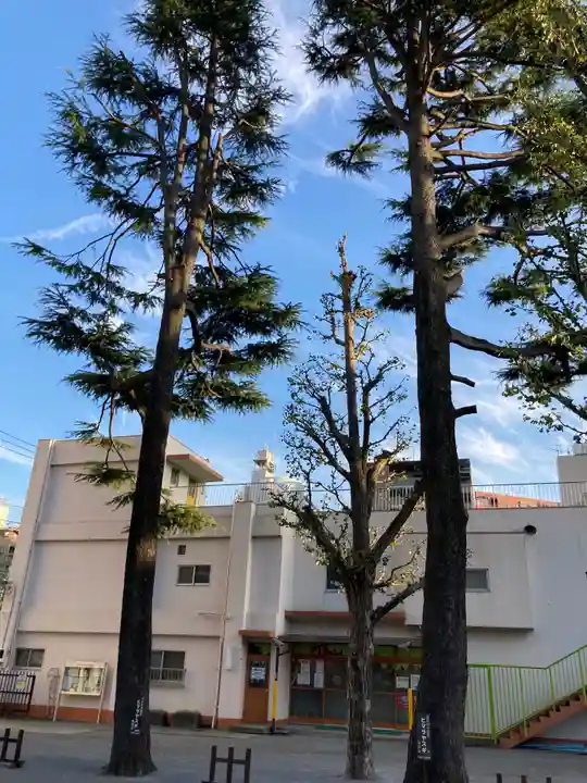 お三の宮日枝神社(神奈川県)