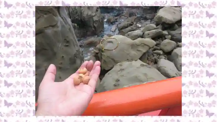 鵜戸神宮(宮崎県)