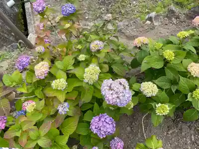 神宮寺(広島県)