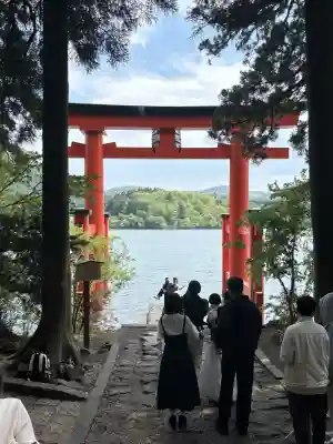 箱根神社の{uncategorized: "未分類", other: "その他", undefined: "問題あり", building: "その他建物", grave: "お墓", sacred_gate: "鳥居", guardian: "狛犬", statue: "像", buddha: "仏像", history: "歴史", nature: "自然", garden: "庭園", animal: "動物", pagoda: "塔", temizu: "手水舎", mountain_gate: "山門・神門", sanctuary: "本殿・本堂", subordinate: "末社・摂社", art: "芸術", scenery: "景色", jizo: "地蔵", ema: "絵馬", goshuin: "御朱印", omikuji: "おみくじ", items: "授与品その他", amulet: "お守り", goshuincho: "御朱印帳", eats: "食事", festival: "お祭り", votive_dance: "神楽", shichigosan: "七五三参", wedding: "結婚式", experience: "体験その他", initially: "初詣", around: "周辺", anti_infection: "感染症対策"}