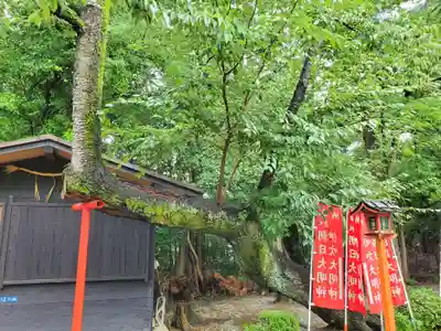稲荷神社の自然