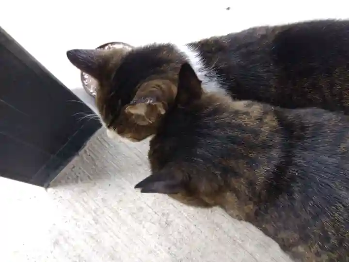 正覚寺(福井県)