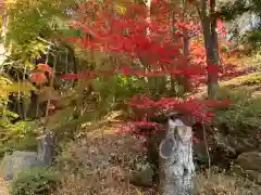 新倉富士浅間神社の自然