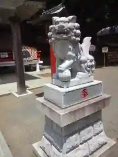 白岡八幡神社の狛犬