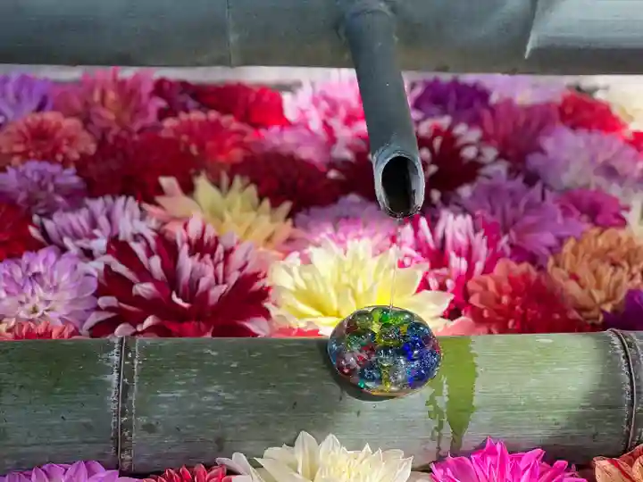 岡寺(龍蓋寺)(奈良県)