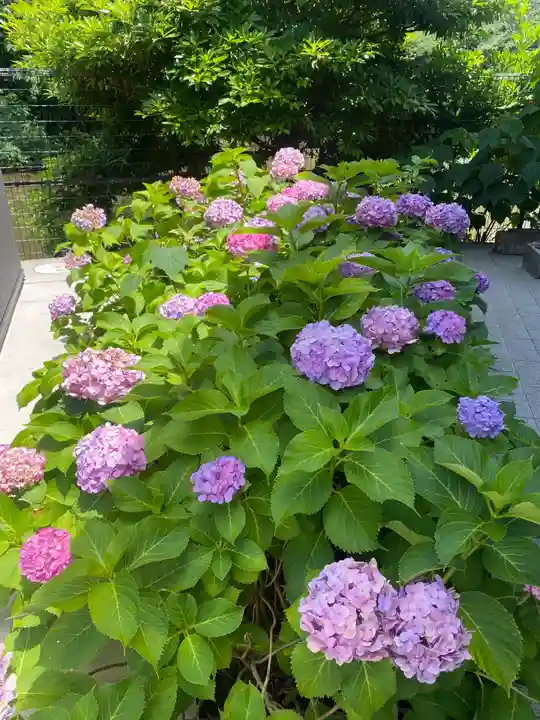 菊田神社(千葉県)
