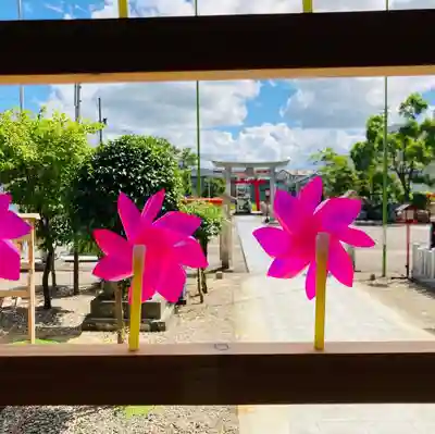 總社 和田八幡宮の七五三参