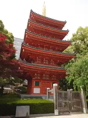 東長寺の塔