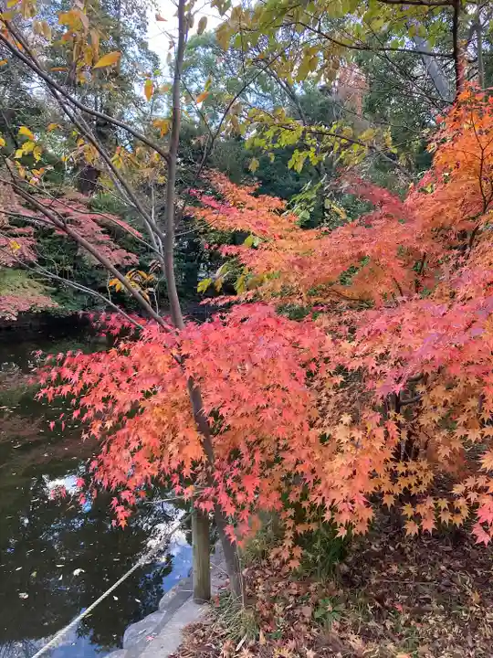 武蔵一宮氷川神社(埼玉県)