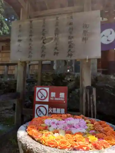 丹生都比売神社(和歌山県)