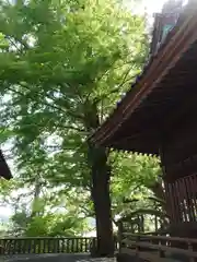 事任八幡宮の建物その他