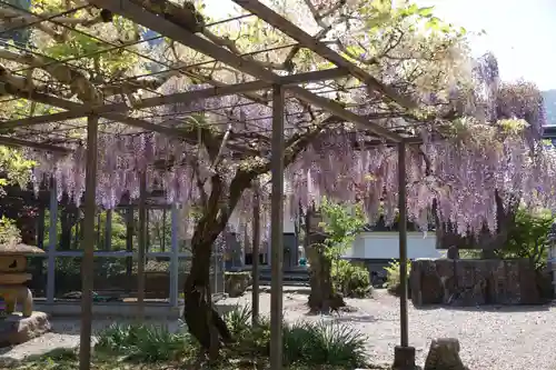 天台宗 五大山 白毫寺(兵庫県)