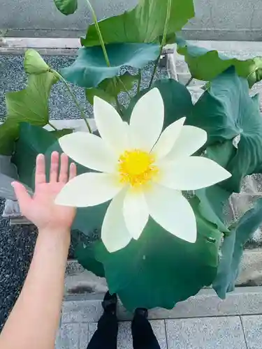 浄土寺(兵庫県)