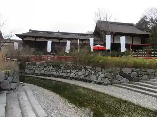 賀茂御祖神社（下鴨神社）の自然