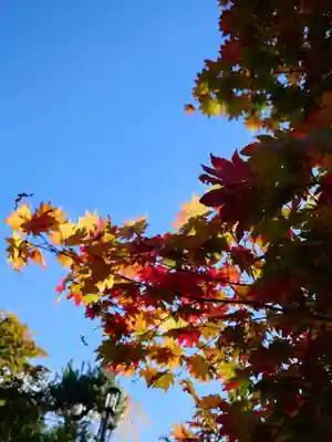 相馬神社(北海道)
