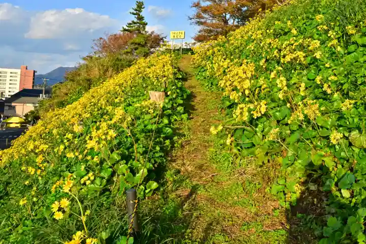 白山媛神社(新潟県)