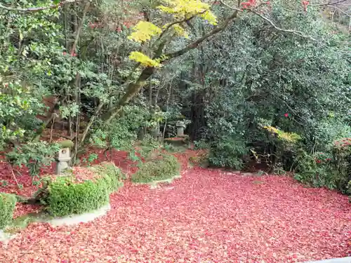 詩仙堂（丈山寺）の自然