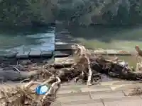 松尾神社の周辺