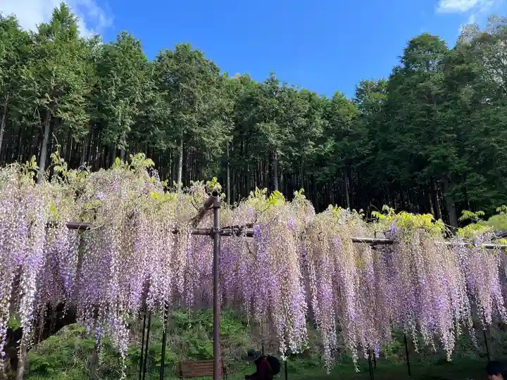 天台宗 五大山 白毫寺(兵庫県)