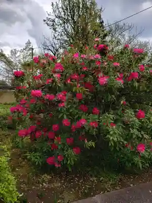 福蔵院(東京都)