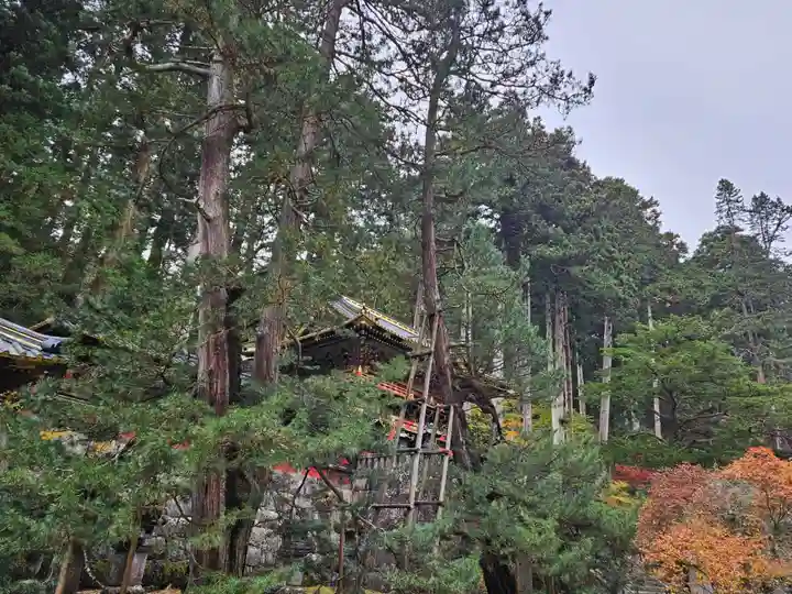 日光山輪王寺 大猷院(栃木県)