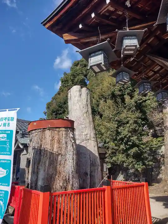 新宮神社(京都府)